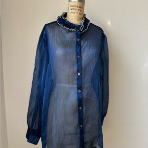 Vintage Sheer Blue Button-Up Blouse